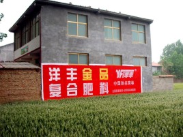  上杭如何让墙体广告展现最大化效果