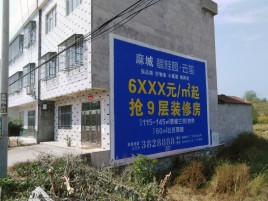  上杭墙体广告质量分析